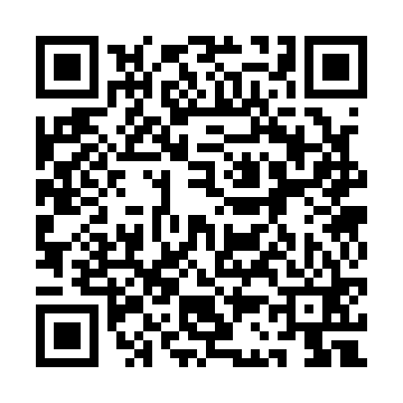 QR code for 1C3161Z