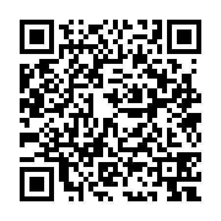 QR code for 1C33381