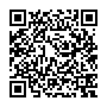 QR code for 1C33387