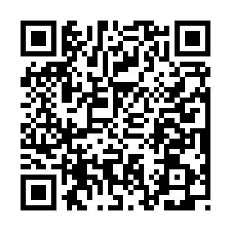 QR code for 1C3813E