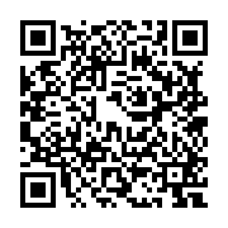 QR code for 1C3841V
