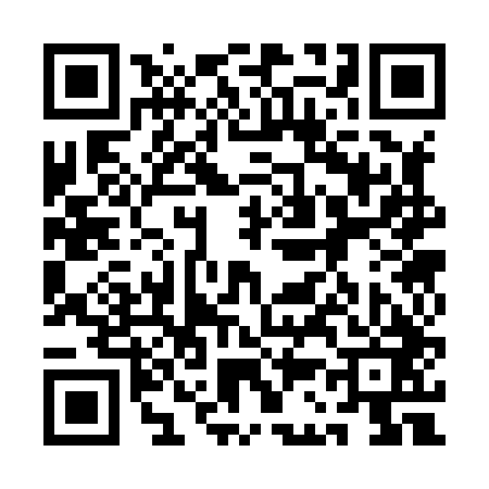 QR code for 1C3843T