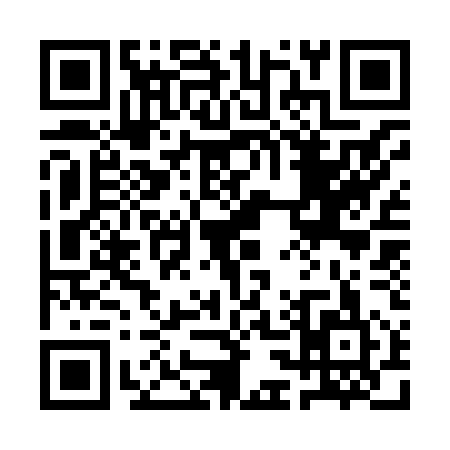 QR code for 1C3855K