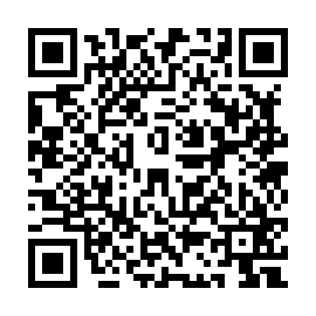 QR code for 1C3863V