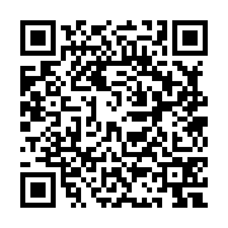 QR code for 1C38742