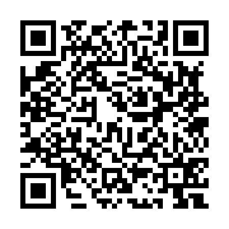 QR code for 1C3875W
