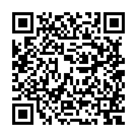 QR code for 1C3881F