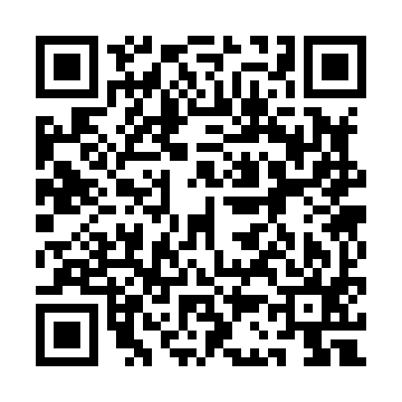 QR code for 1C3895G