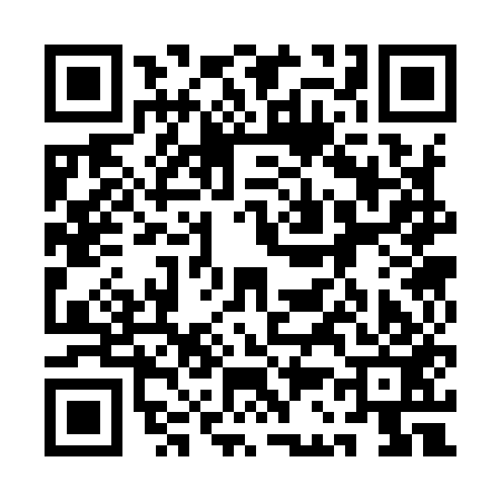 QR code for 1C3953I