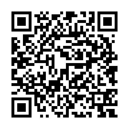 QR code for 1C46306