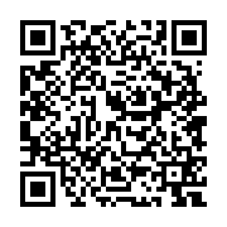 QR code for 1C46618