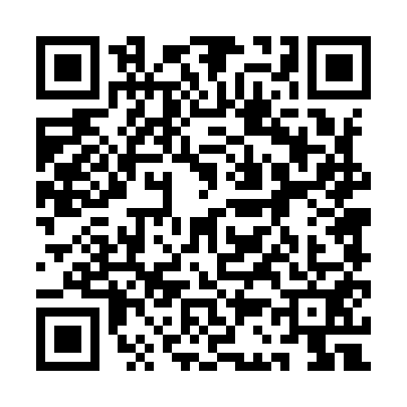QR code for 1C49513