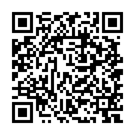 QR code for 1C54938
