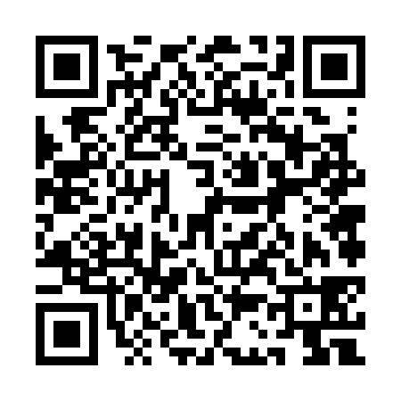 QR code for 1C6338H