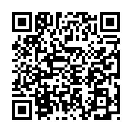 QR code for 1C80381