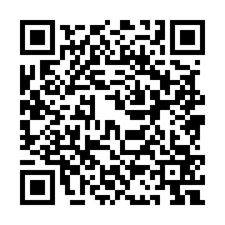 QR code for 1C85638