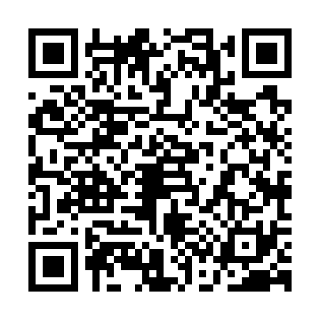 QR code for 1C87313