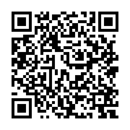 QR code for 1C91063