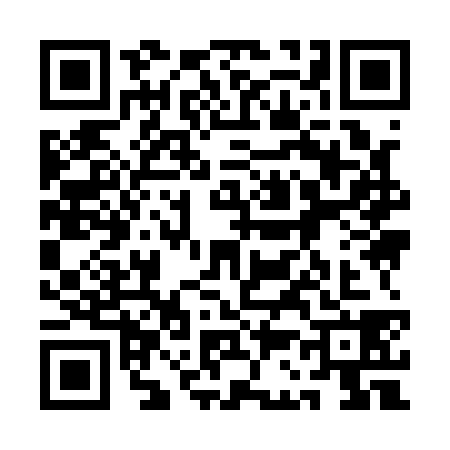 QR code for 1C91383