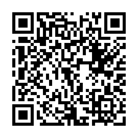 QR code for 1C9393Q