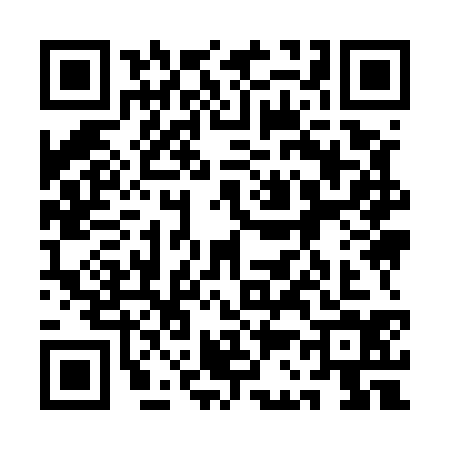 QR code for 1C95343