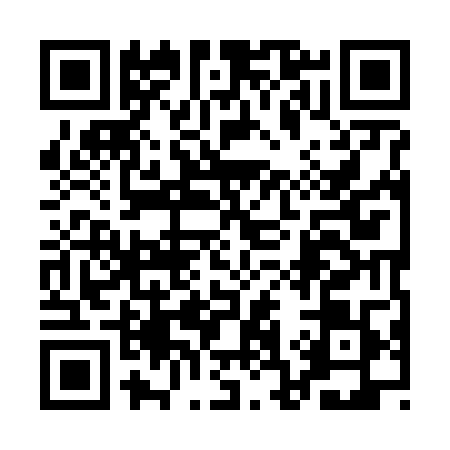 QR code for 1C96095