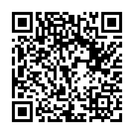 QR code for 1C96238