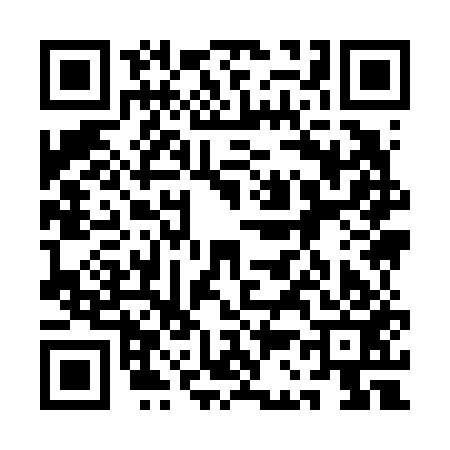 QR code for 1C9653N