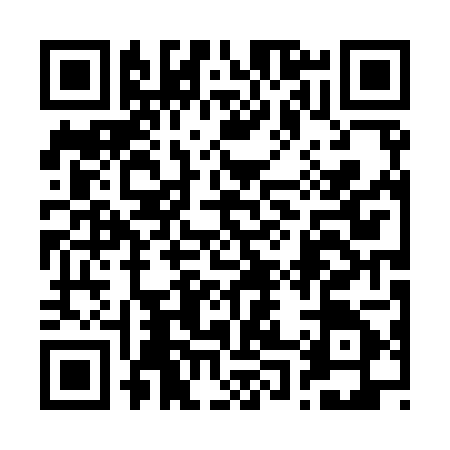 QR code for 2009053