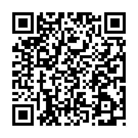 QR code for 2009174