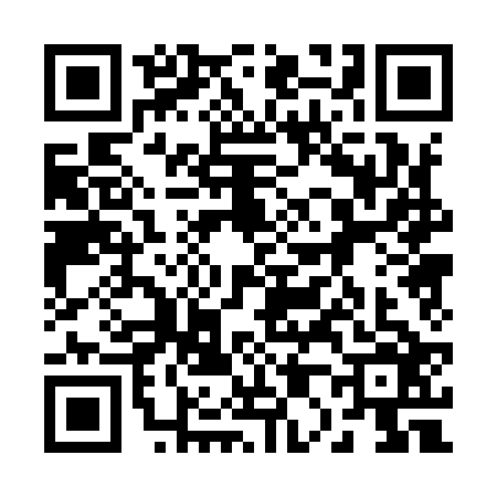 QR code for 2009267