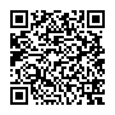 QR code for 202428X