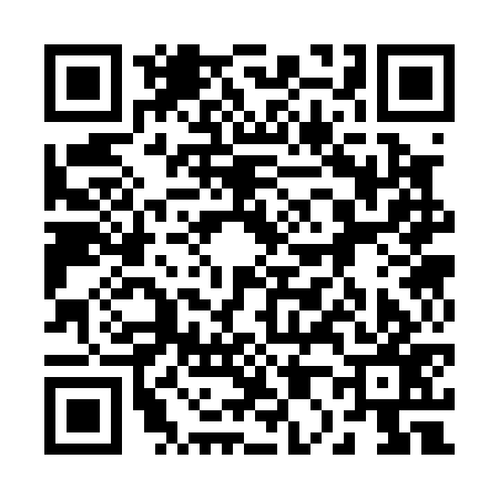 QR code for 203077M