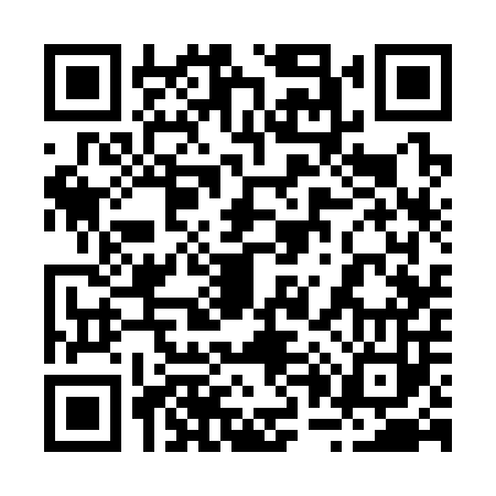 QR code for 203303G