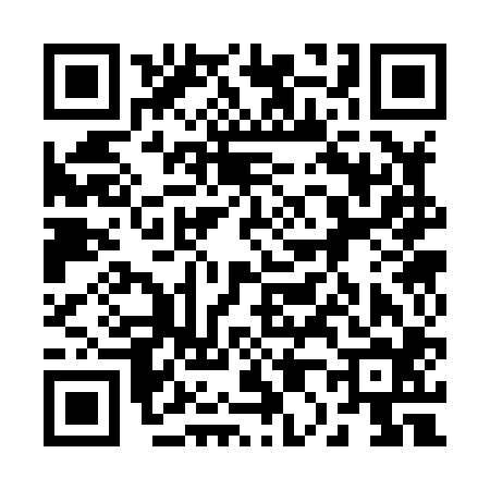 QR code for 203804F