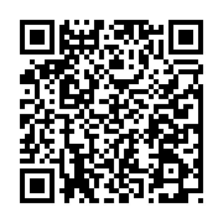 QR code for 206007E