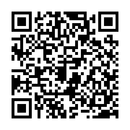 QR code for 206265P