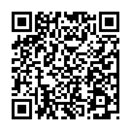 QR code for 206595T