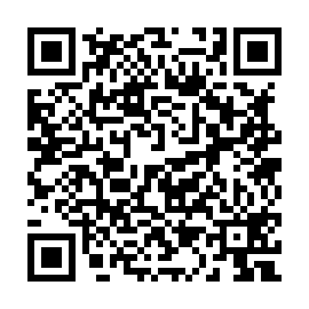 QR code for 213819X