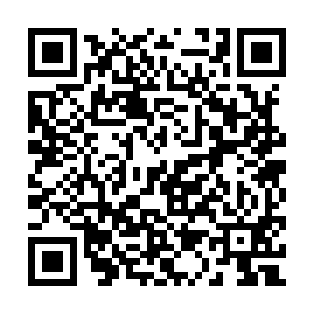 QR code for 213991Z