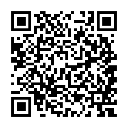 QR code for 216685G
