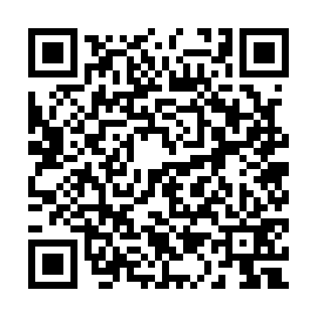QR code for 217173Z