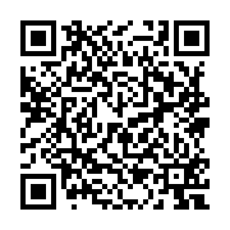 QR code for 219913R