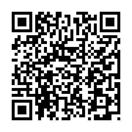 QR code for 2206418