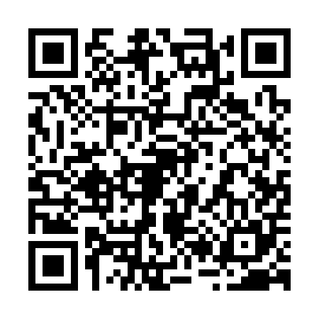 QR code for 221305P