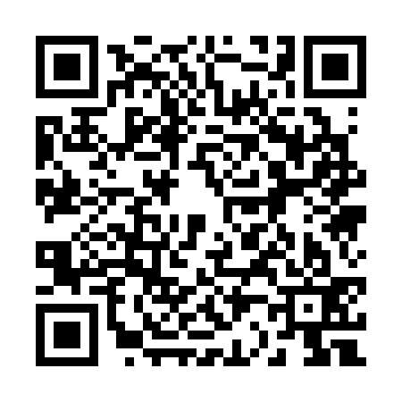 QR code for 221333N