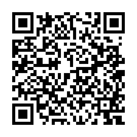 QR code for 223381L