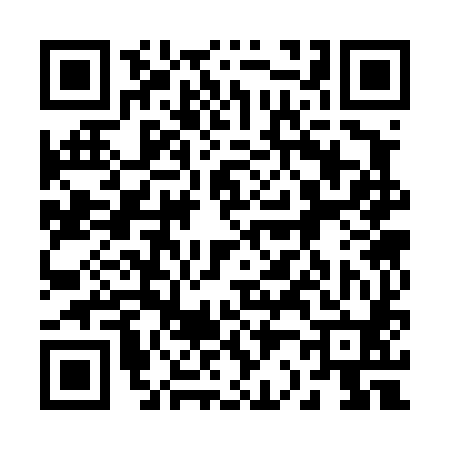 QR code for 223480P