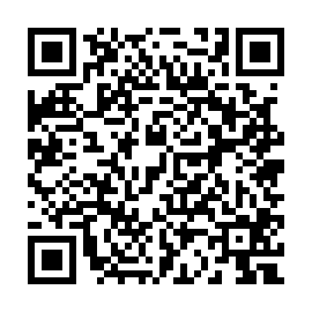 QR code for 225104Y