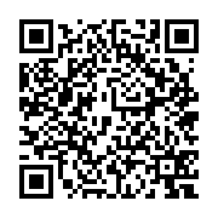 QR code for 225335S